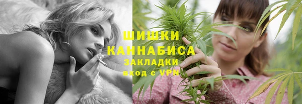 ПСИЛОЦИБИНОВЫЕ ГРИБЫ Аркадак