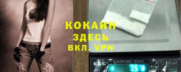 крисы Армянск