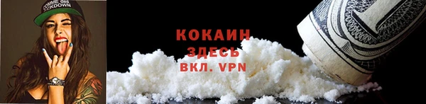ПСИЛОЦИБИНОВЫЕ ГРИБЫ Аркадак