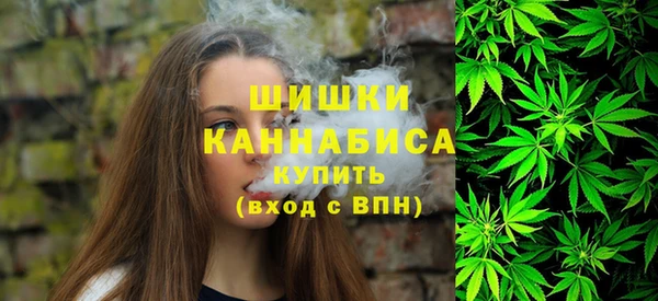 дживик Семилуки