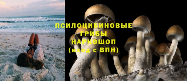 ПСИЛОЦИБИНОВЫЕ ГРИБЫ Аркадак